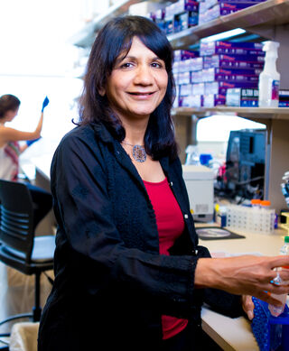 Amita Sehgal